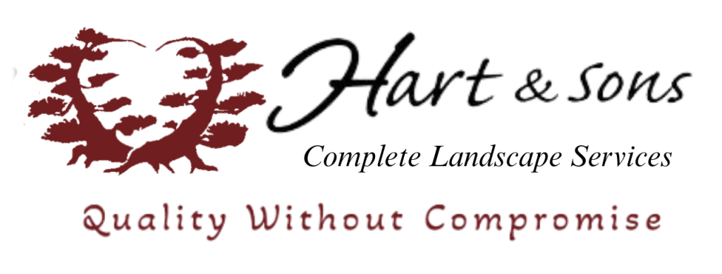 Home Page Logo - Digital Marketing